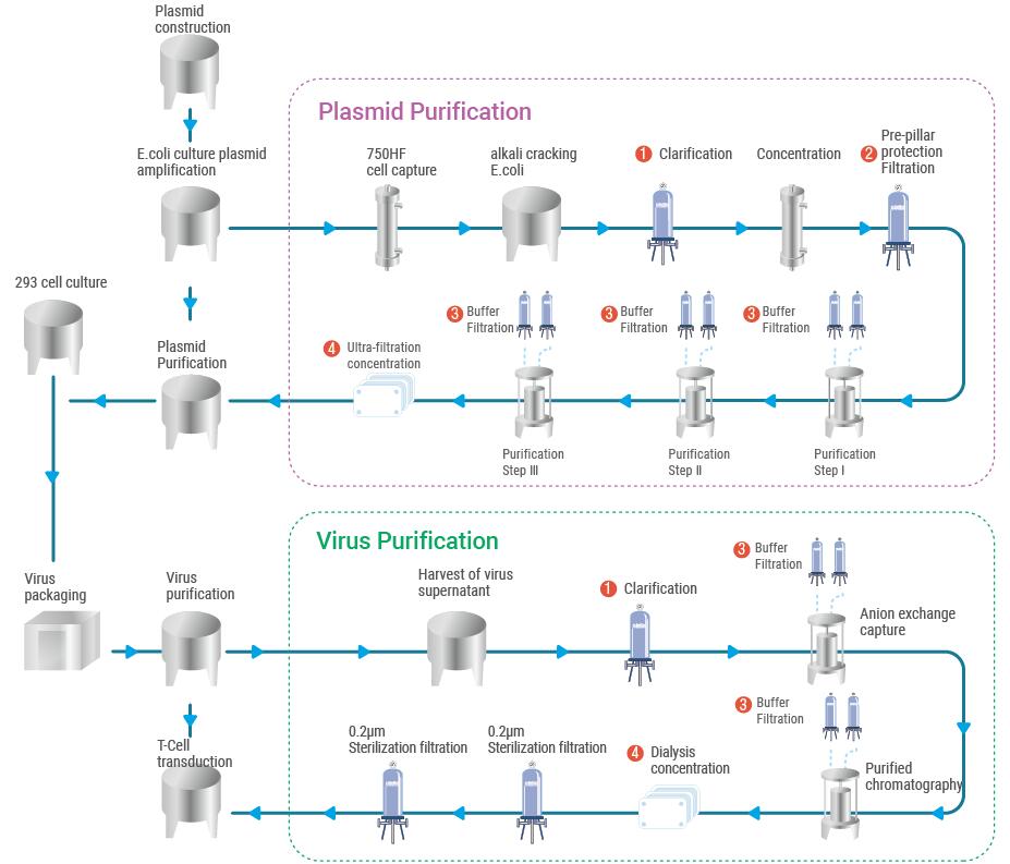 CAR-T Production Process.jpg